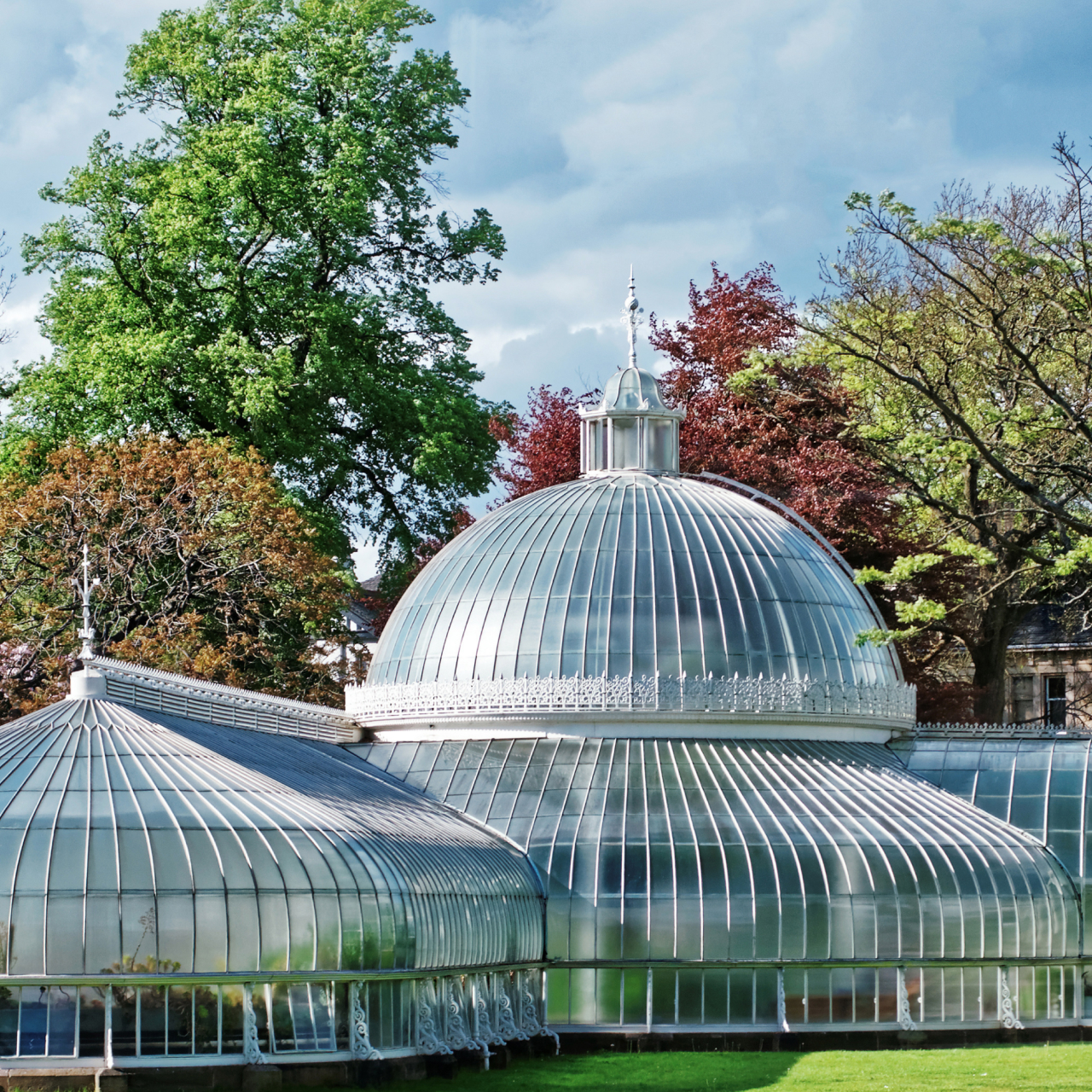 Botanic Gardens 5050