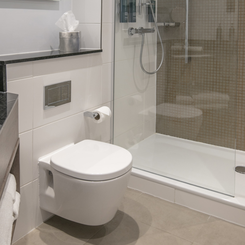 <p>DELUXE KING BATHROOM</p>