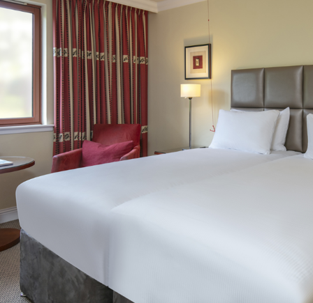 CLASSIC TWIN ACCESSIBLE