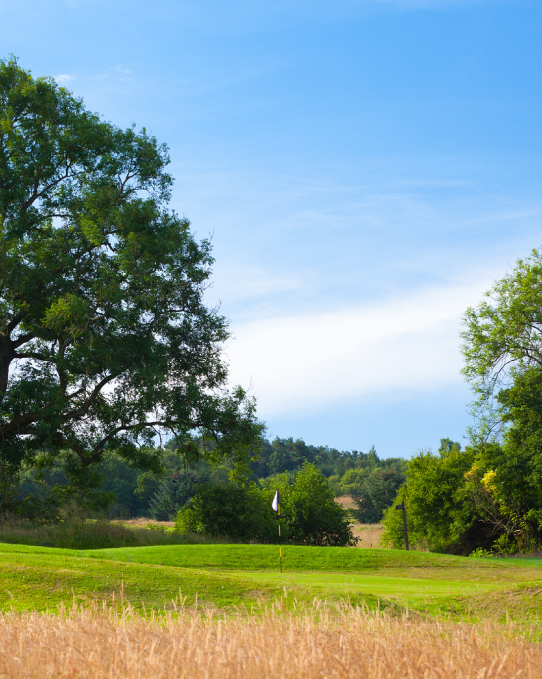 Socialsharing Desktop