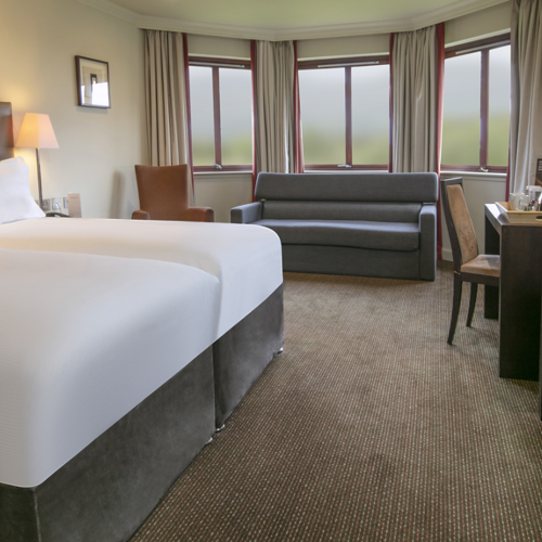 <p>FAMILY TWIN GUEST ROOM</p>