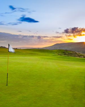 Socialsharing Desktop 3