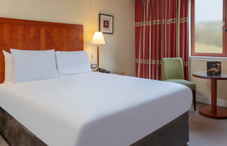 Classic Accessible Double Carousel 2