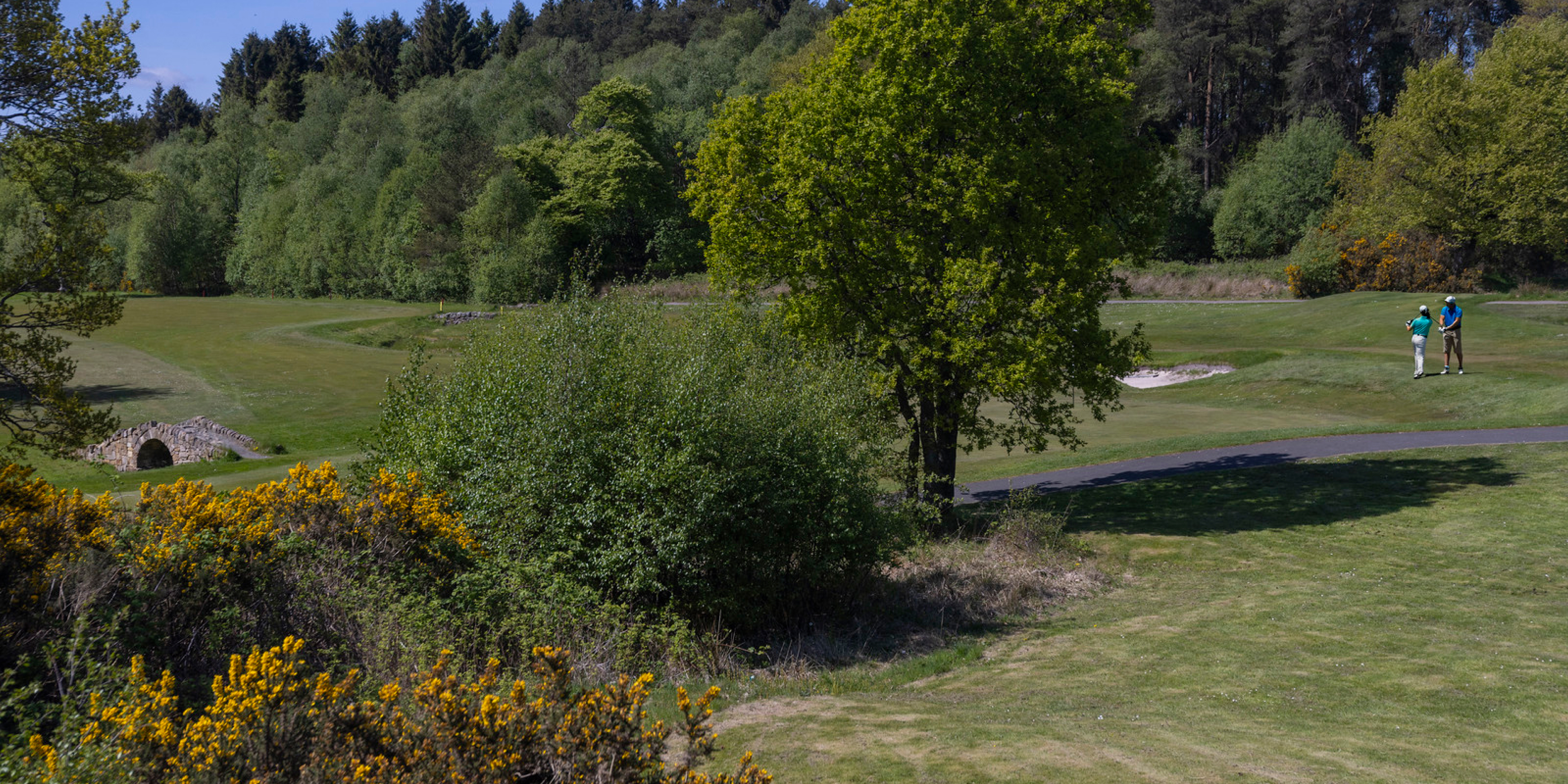 Tripadvisortestimonial Desktop