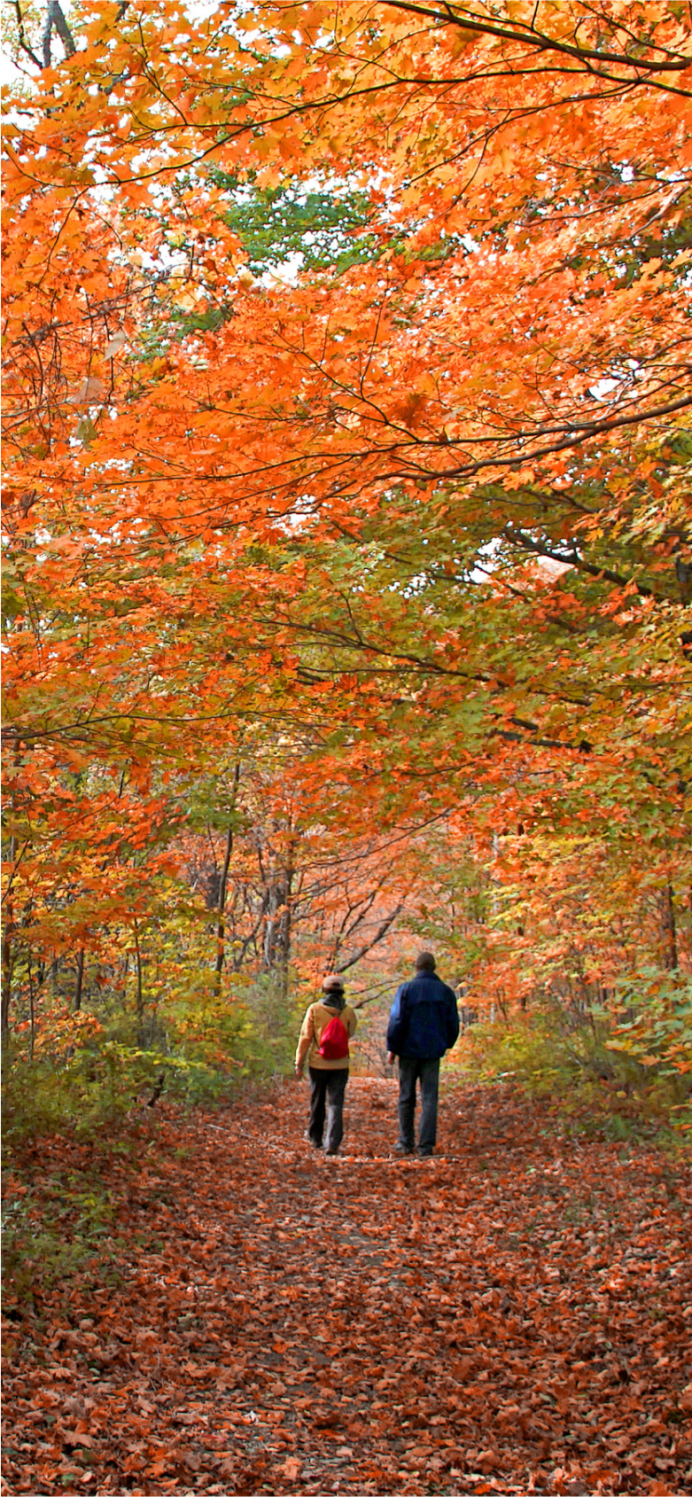 Oultonhall Seasonal Inner Desktop