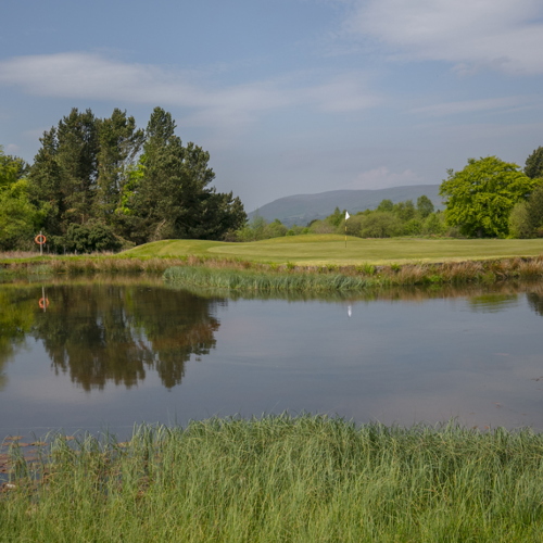 <p>GOLF COURSE</p>