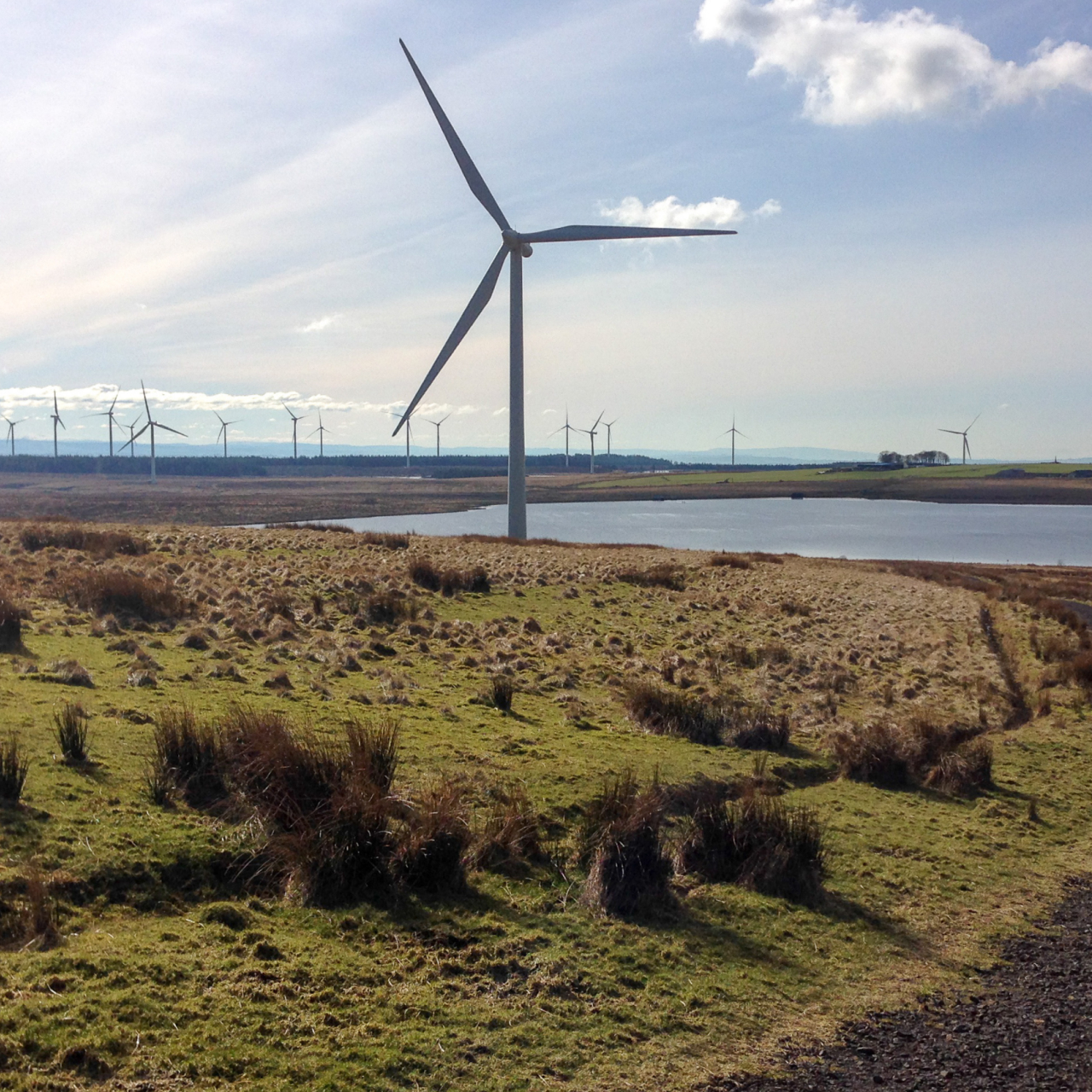 Whitlee Windfarm 5050