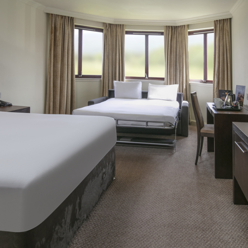 <p>FAMILY QUEEN GUEST ROOM</p>