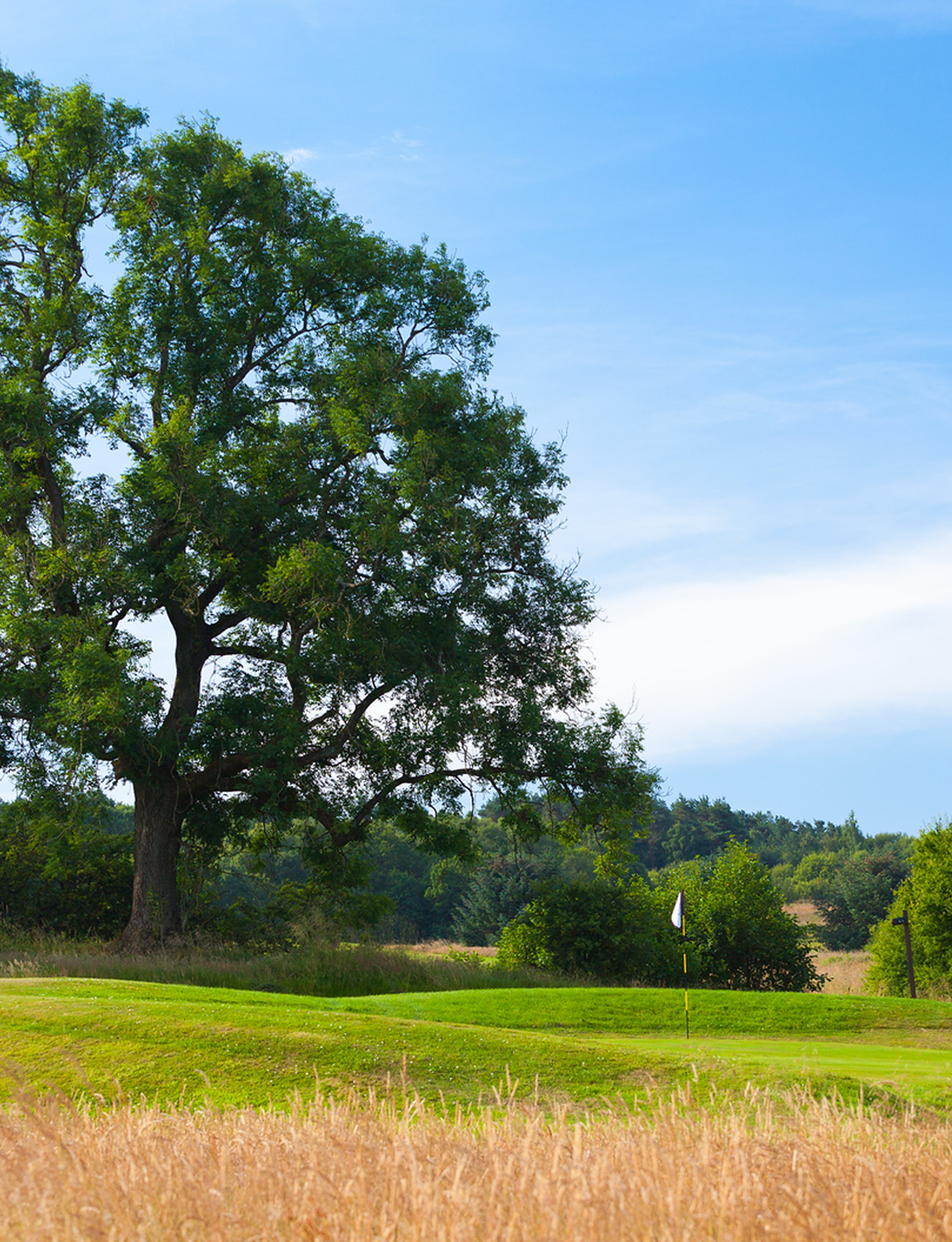 Golf Breaks Desktop Banner