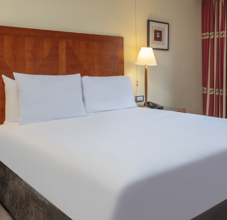 CLASSIC DOUBLE ACCESSIBLE