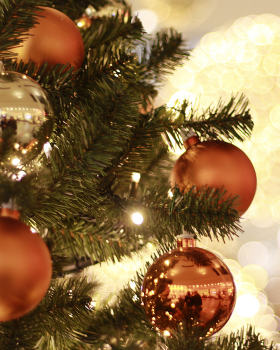 Westerwood hotel christmas 2025