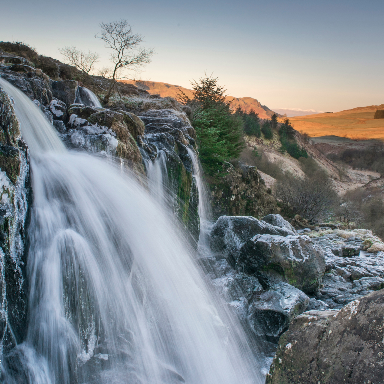 Loup Of Fintry 5050