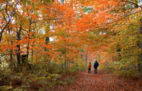 Slaley Hall MAIN THINGS TO DO Carousel Desktop Seasonal Carousel