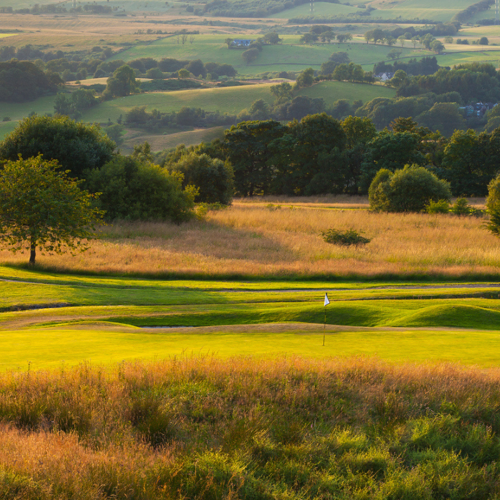 <p>11TH GREEN</p>