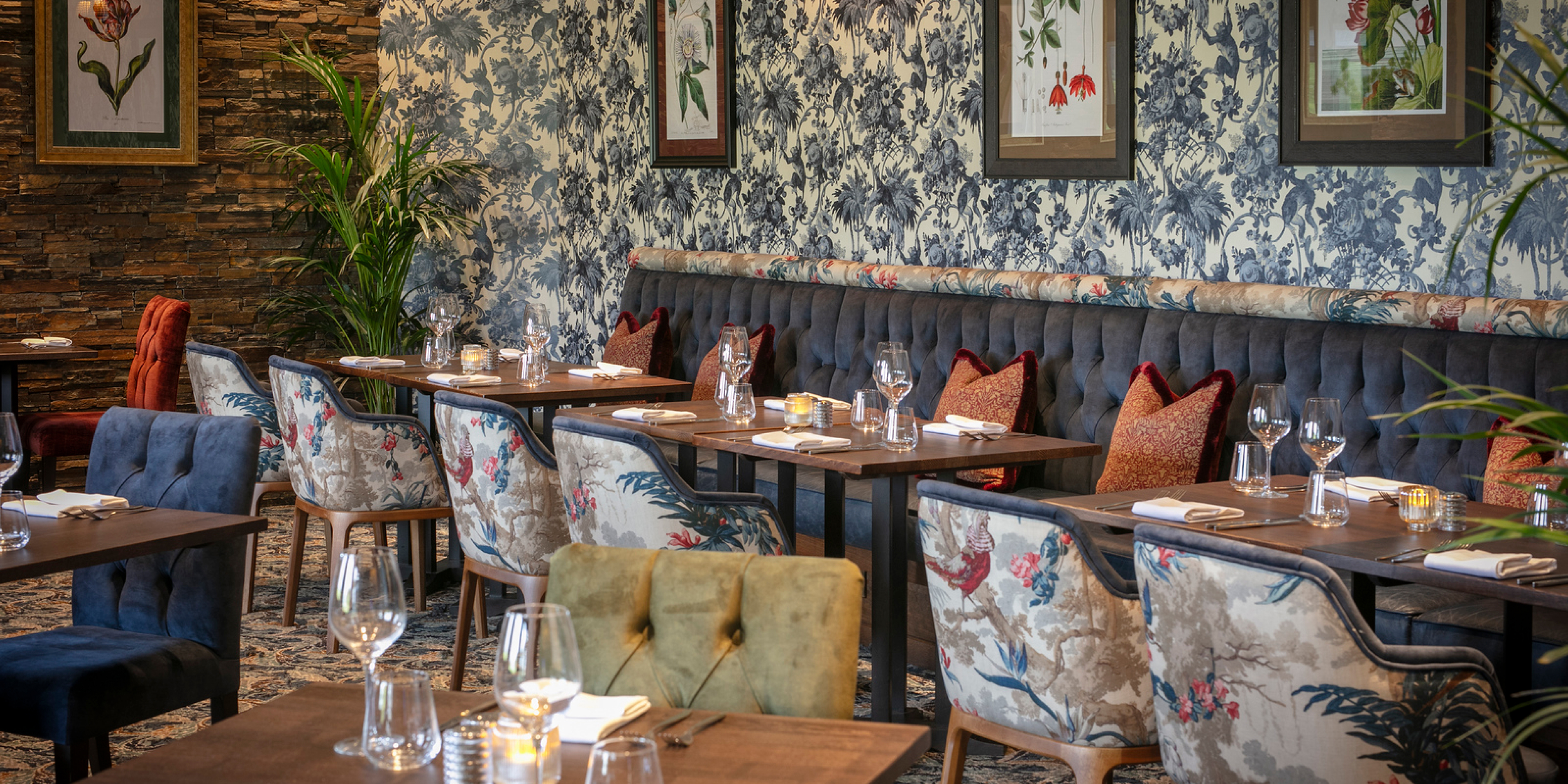 Tripadvisortestimonial Desktop