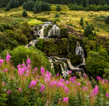 <strong><span class="NormalTextRun SCXW50751662 BCX8">LOUP OF FINTRY WATERFALLS</span></strong>